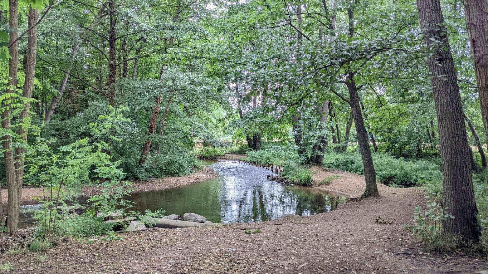 Maison Au Calme, 6 Voyageurs Riorges Kültér fotó